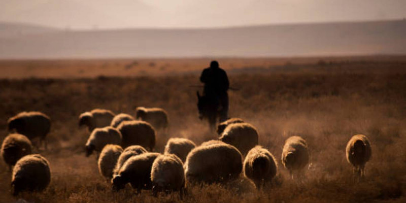 Қостанай облысында ер адам мал іздеймін деп жоғалып кетті