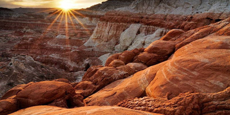 «Шығын – 795 млн теңге»: Қостанайлық кәсіпкер сазды ұрлап, заңсыз сатқан