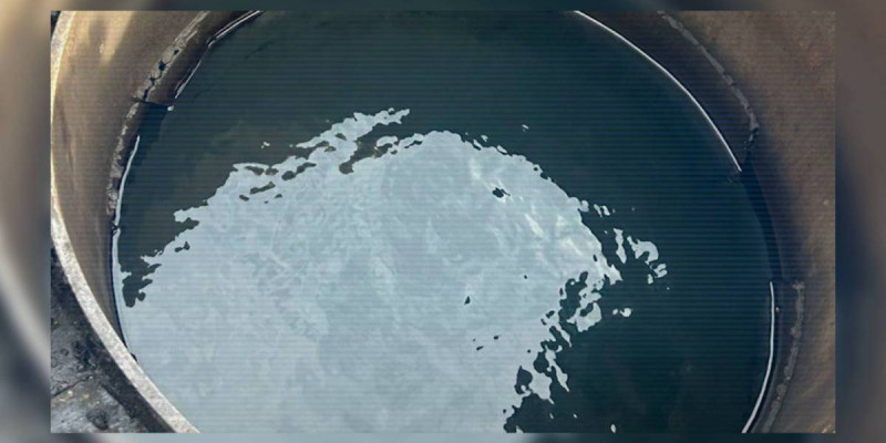 Ақтөбеде мұнай өнімдерін ұрлап, контрабандалық жолмен шығарғандар ұсталды