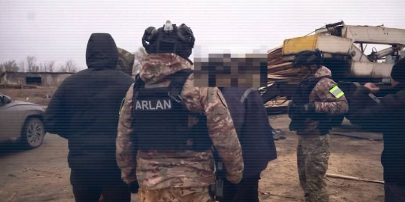 Қостанай облысында заңсыз ағаш кесумен айналысқан топ ұсталды (ВИДЕО)