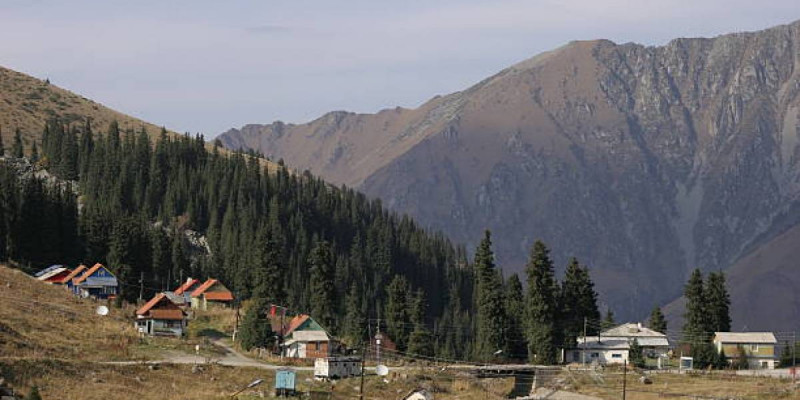 Алғашқы Жарлығым ауылды дамытуға арналды – Қасым-Жомарт Тоқаев