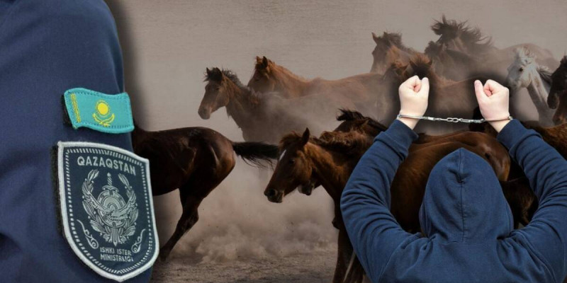 Жетісу облысында мал ұрлығына қатысы бар күдіктілер ұсталды