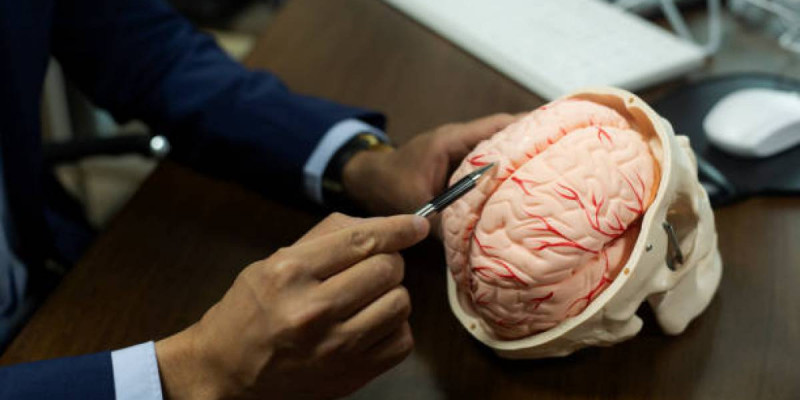 Ғалымдар мидың жұмысына ең қауіпті өнімдерді анықтады