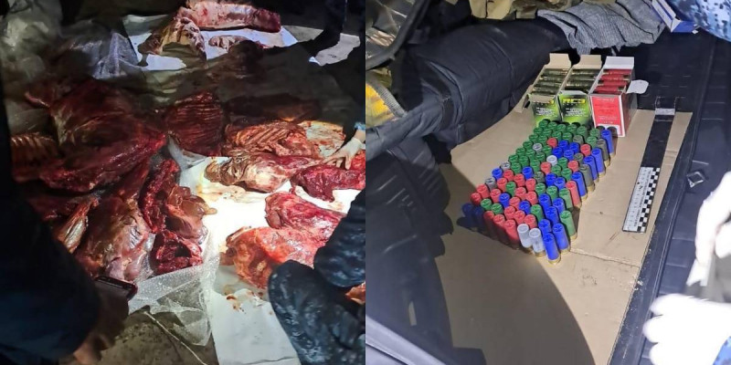 Павлодар облысында заңсыз аңшылықпен айналысқандар ұсталды