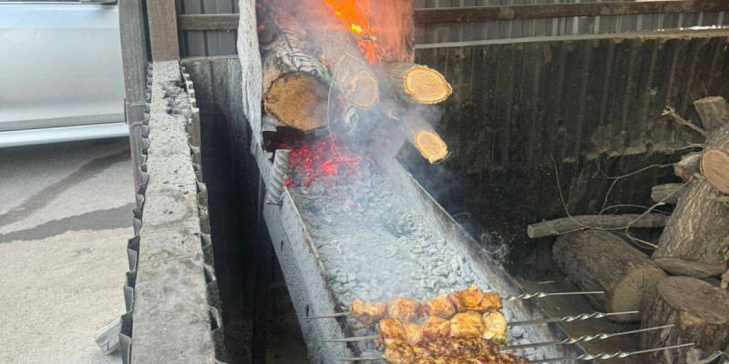 Алматыда қатты отын қолданатын кәуапханаларға бақылау күшейтілді
