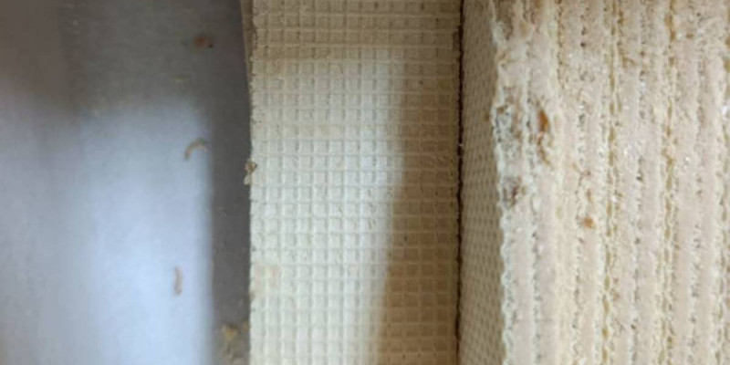 Қостанайдағы орталықта балаларға құрт шыққан вафли берілген