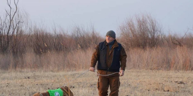 Қазақы тазы тұқымына арналған аңшылық сынақтар өтті