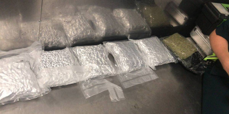 Алматы әуежайына 3 келі есірткі алып келген Үндістан азаматы 15 жылға сотталды