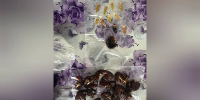 Құрма ішіне жасырынған: Павлодар облысында колонияға тыйым салынған зат өткізілмек болған