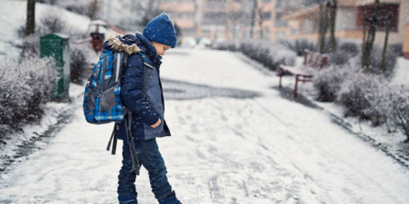 Астанада екінші ауысымның бастауыш сынып оқушылары қашықтан оқиды