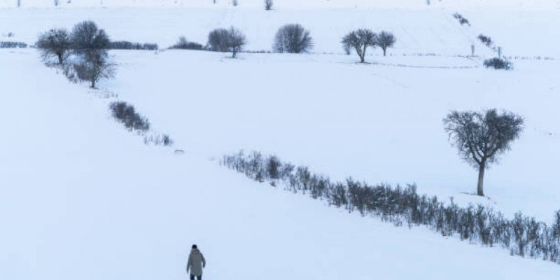 Павлодар облысында қырда малын іздеуге кеткен 2 тұрғын жоғалып кеткен