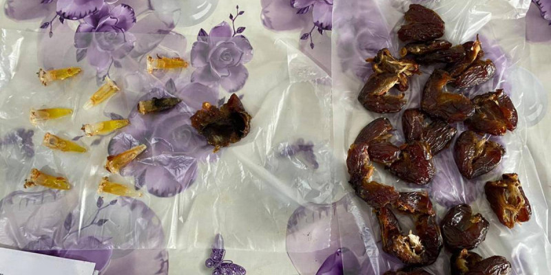 Павлодарда құрмаға есірткі жасырып, абақтыға алып кірмек болғандар ұсталды