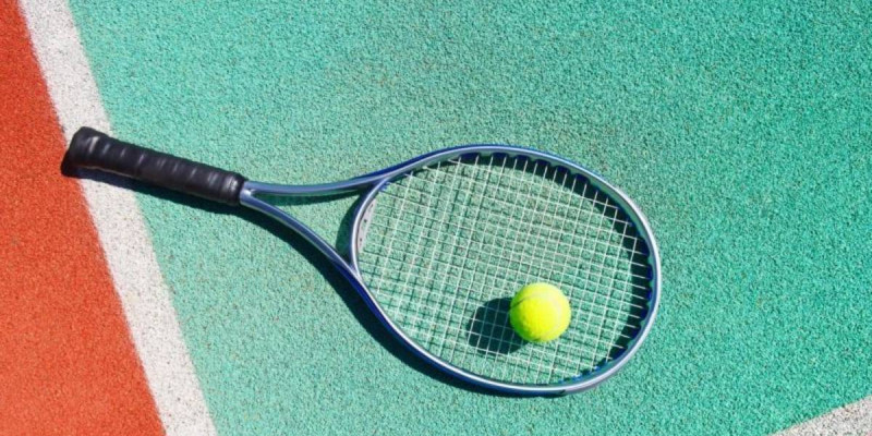 Француз теннисшісі 20 жылға спорттан шеттетілді