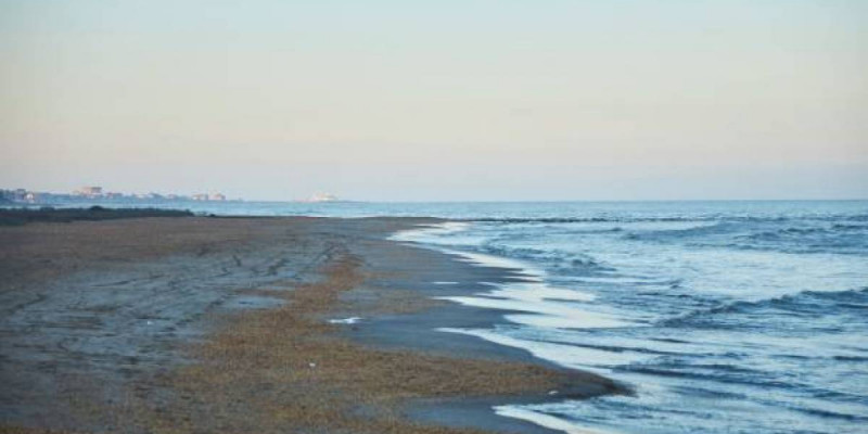 Арал мен Каспийдегі экологиялық ахуалды уақыт оздырмай шешу қажет – Мемлекет басшысы
