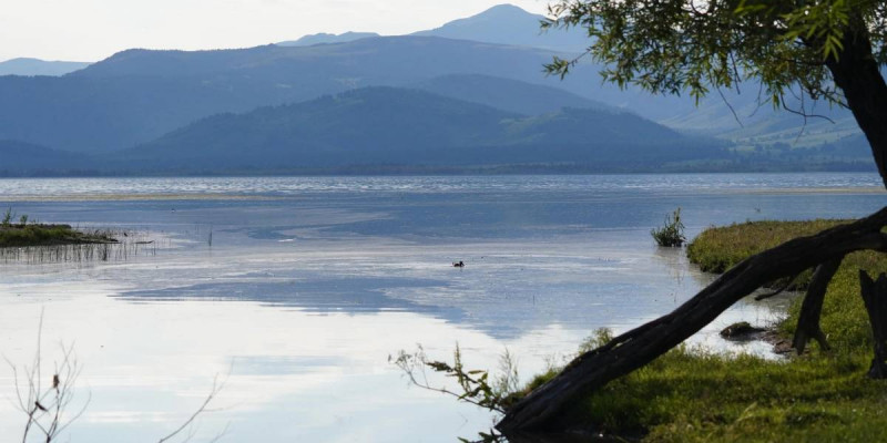 Шөп те өлең, шөңге де өлең, өңге де өлең...