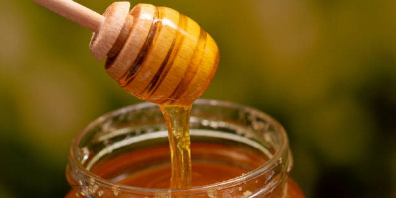 Жамбыл облысында балды заңсыз тасымалдаған Қырғызстан азаматы ұсталды