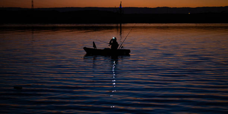 Былтыр балық пен аңды заңсыз аулағандарға 8,5 млн теңге айыппұл салынған