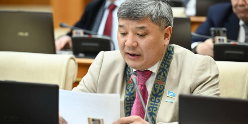 Президент Ұлттық құрылтайда қоғамды алға бастайтын басты құндылықтарды айқындады – депутат