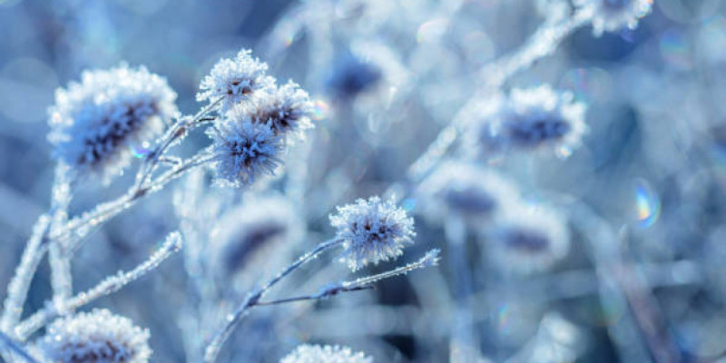 Демалыс күндері қар жауып, боран соғады