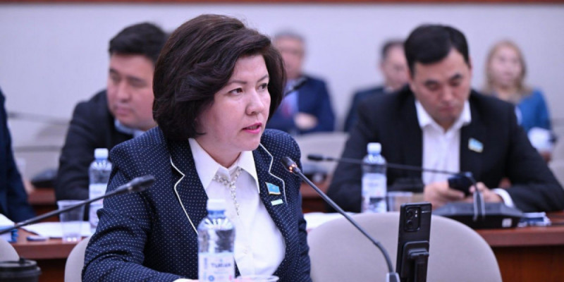 Оқу-ағарту министрі кейбір мектептердің жұмысы тоқталатынын айтты (ВИДЕО)