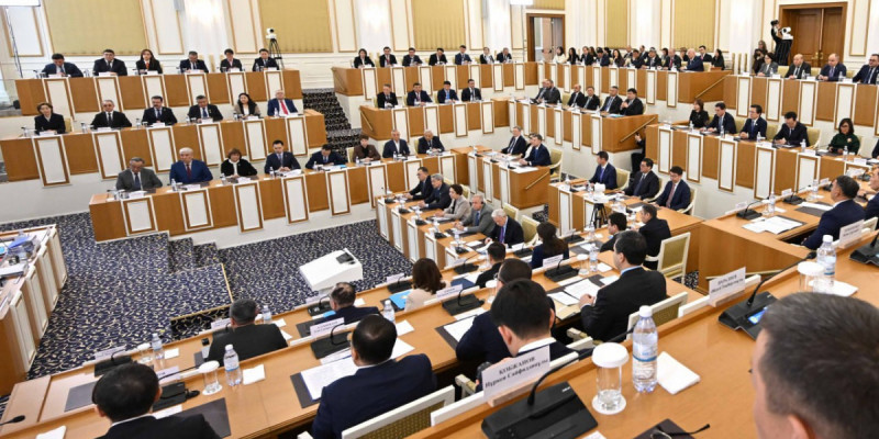 Құрылтай депутаттарына қойылатын қосымша талаптар консультациялық заңда айқындалуы мүмкін — Қарин