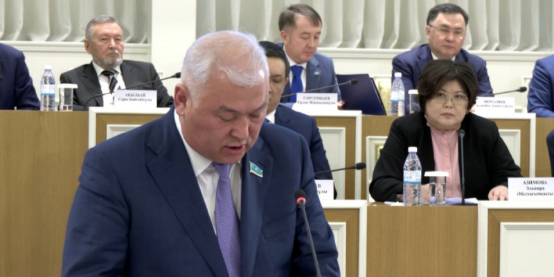 Конституциялық реформаның маңызды бағыты – шығармашылық еркіндік, сөз бостандығы болуға тиіс