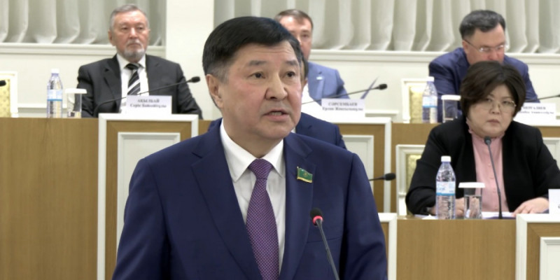 Интернеттегі алаяқтыққа қарсы конституциялық кепілдік керек – Асанов