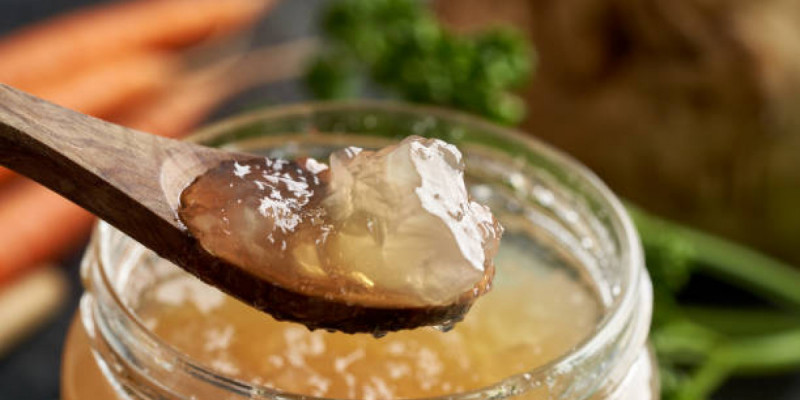 Алматыда желатин мен коллаген өндіретін зауыттың құрылысы басталды