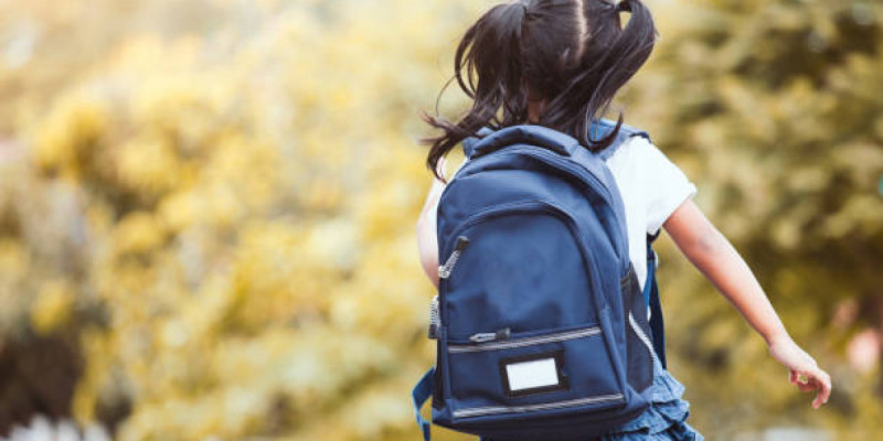 Үкіметте «Қазақстан балалары» тұжырымдамасы таныстырылды