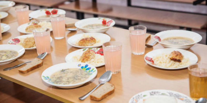 Түркістандағы 70 мектептің асханасында санитариялық талаптар сақталмаған