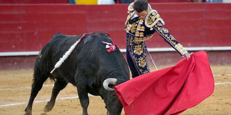 Испанияда балалардың корридаға баруына тыйым салынуы мүмкін