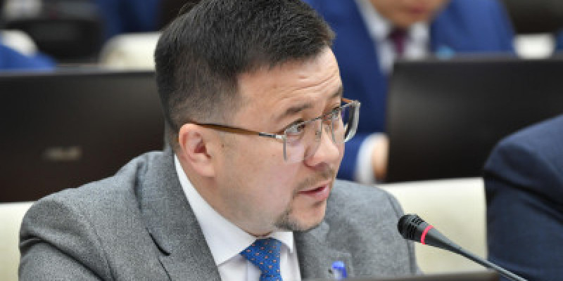 "Курс алған соң қысым көрсетеді": депутат тренинг өткізетіндерге шара қабылдауды сұрады