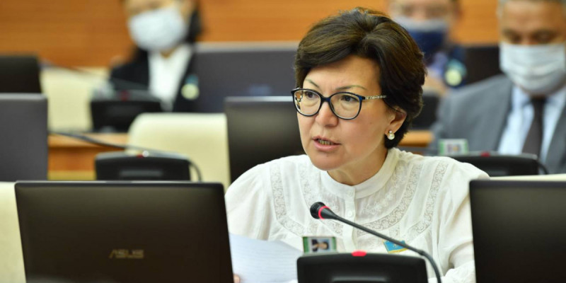 Әскерилер азайып бара жатыр – депутат