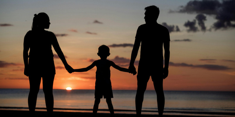 Конституцияда неке мен отбасы құндылықтары, қоршаған ортаны қорғау міндеті күшейтілетін болады