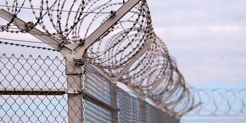 Семейде колония аумағына есірткі лақтырмақ болған азамат сотталып кетті