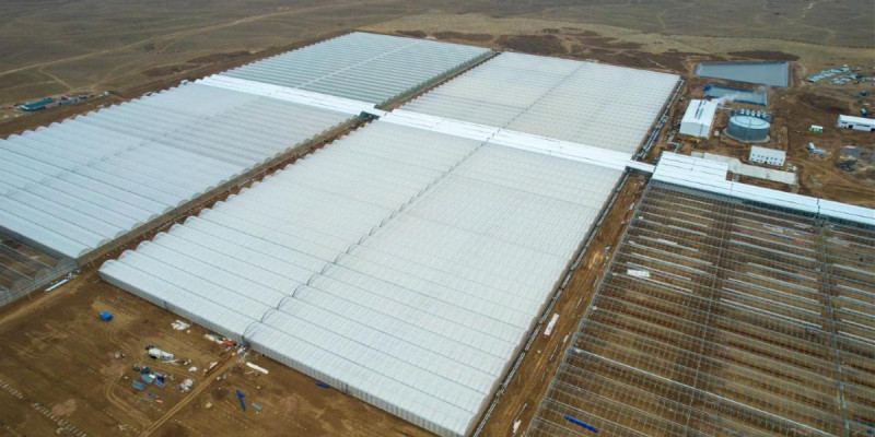 Түркістан облысында еліміздегі ең ірі жылыжай кешені іске қосылады