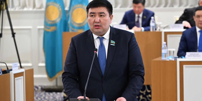 Елнұр Бейсенбаев: Мобильді әрі ықшамды Парламент формуласын таңдаудың маңызы зор