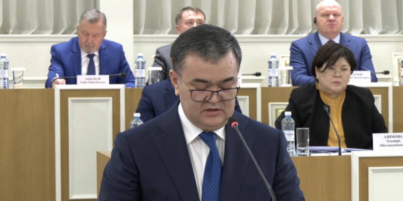 Жеңіс Қасымбек: Конституцияға «Заң мен Тәртіп» пен «Таза Қазақстан» идеяларын енгізу тұрақты даму моделін қалыптастырмақ