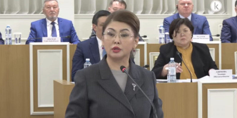 Аида Балаева: Бұл – кезекті бір түзетулер емес, ел дамуының ұзақмерзімді тың моделі