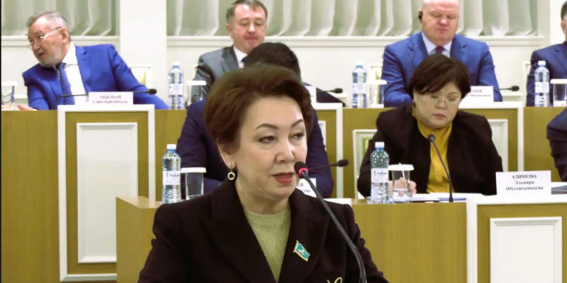 Жаңа Конституция мемлекеттіліктің жаңа кезеңінің негізіне айналады – Дания Еспаева