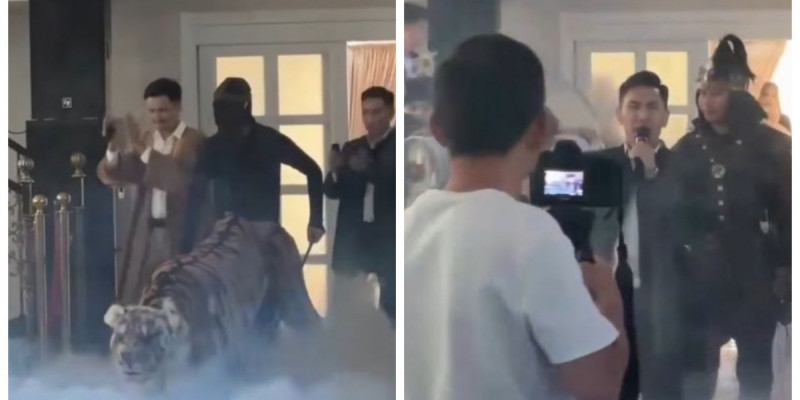 Қазнеттегі талқылау: Сүндет тойдағы жолбарыс жұртты шулатты (ВИДЕО)