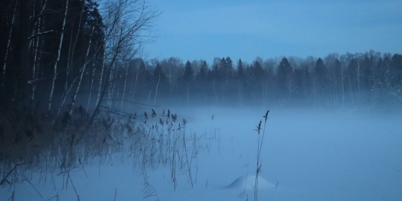 31 қаңтарға арналған ауа райы болжамы жарияланды
