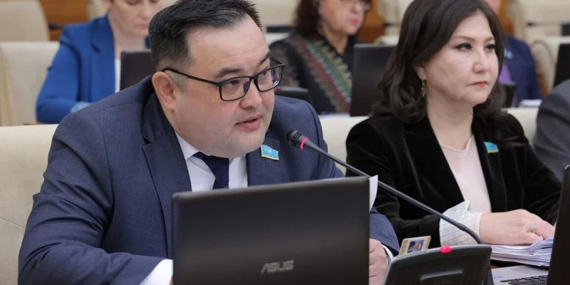 "Студент оқытушыны пышақтаған": депутат білім беру мекемелеріне қауіпсіздік стандарты қажет екенін айтты