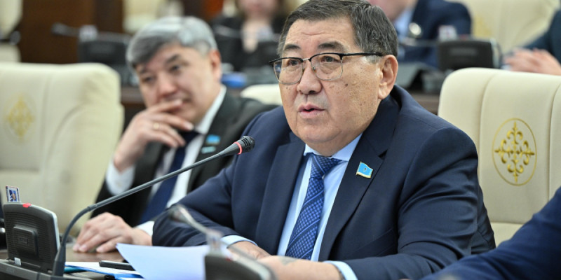 Ермұрат Бапи: Тілді текетірес пен ерегестің қаруына айналдыру бізге әбүйір әпермейді