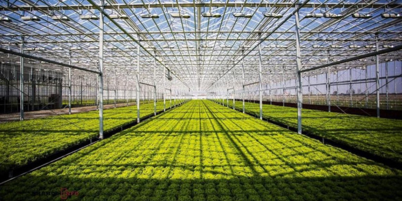 Түркістан облысында құны 42 млрд теңге болатын жылыжай іске қосылады