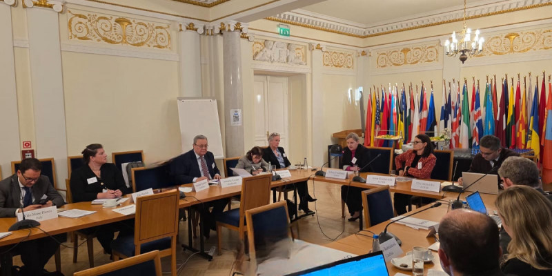 Жаңа Конституцияның жобасы ЕҚЫҰ ДИАҚБ кеңсесінде таныстырылды