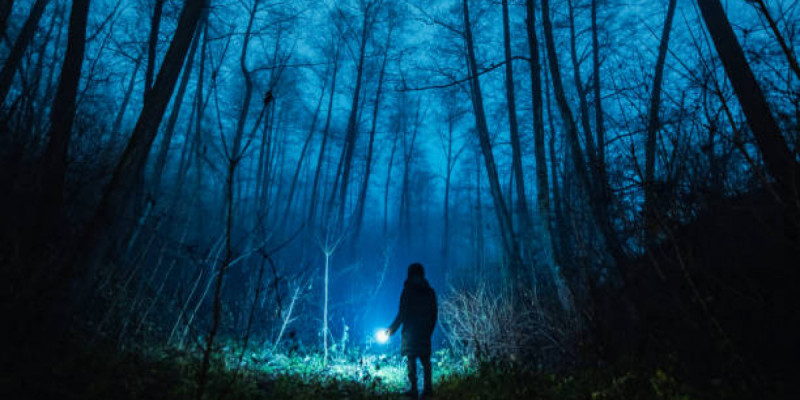 Петропавлда жоғалып кеткен 18 жастағы жігіттің денесі орманнан табылды