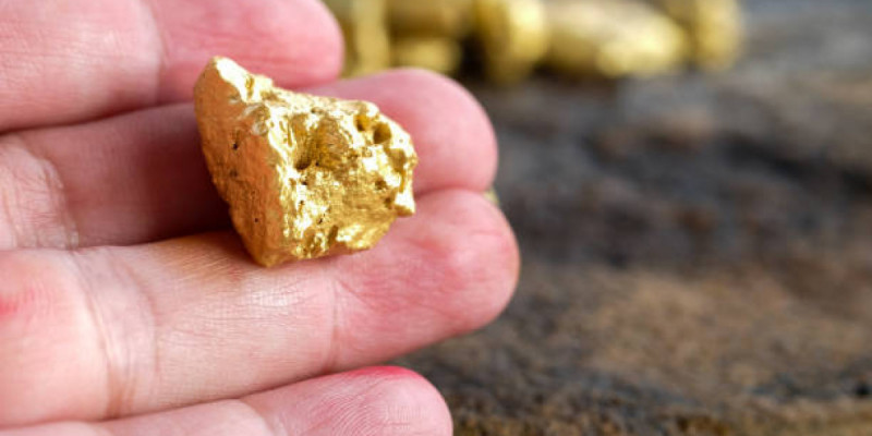 Түркістан облысында алтынды заңсыз өндірген 12 адам анықталды