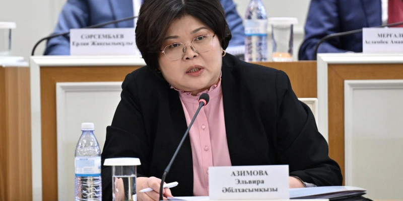 Жаңа Конституцияның ережелері кәсіби деңгейде түсіндіру жалғасады – Эльвира Әзімова