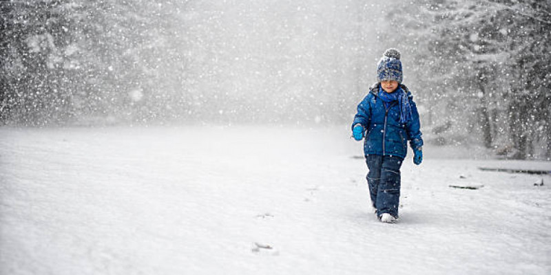 Астанада екінші ауысымның оқушылары онлайн оқиды